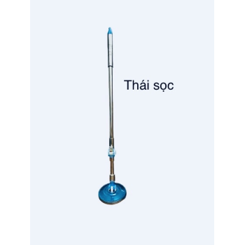 Cây lau nhà thái sọc