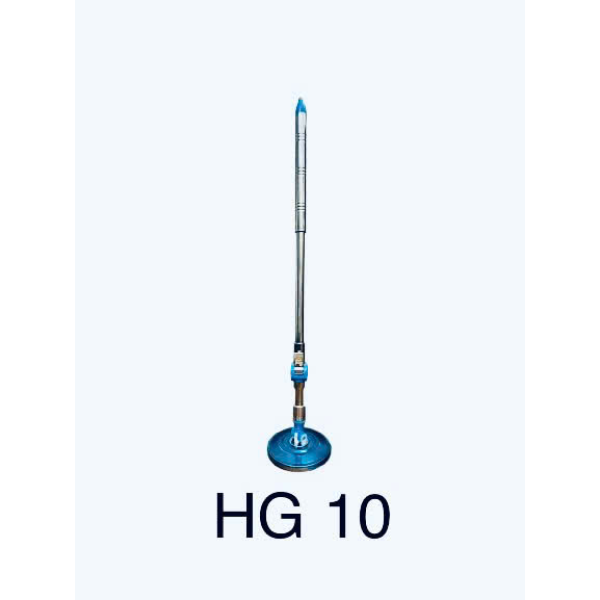 Cây lau HG 10